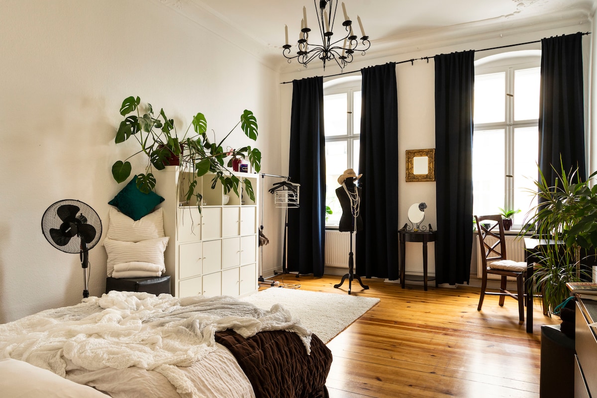 Sunny, elegant centre flat, high ceilings - Photo 8