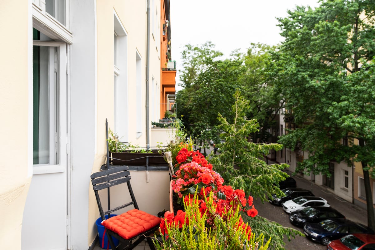 Sunny, elegant centre flat, high ceilings - Photo 26