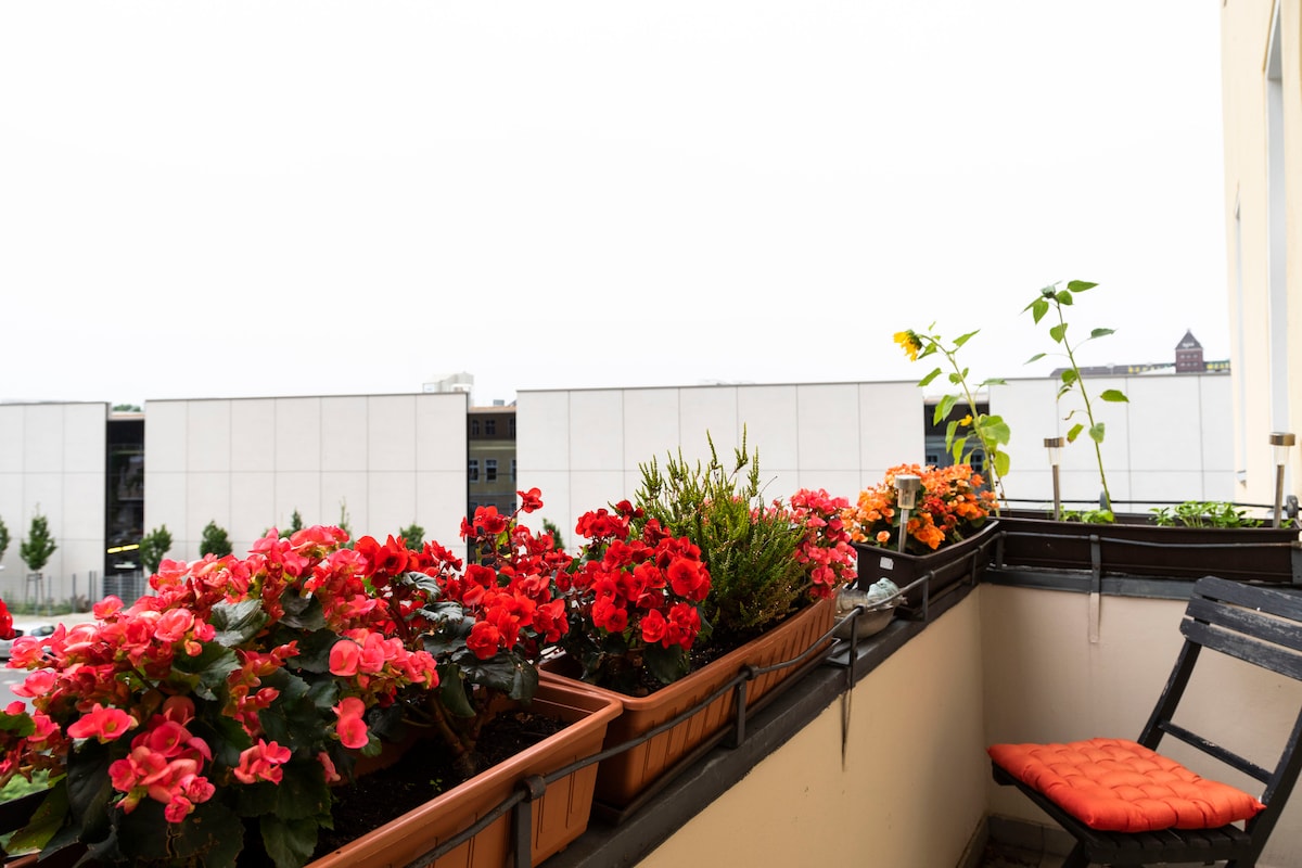 Sunny, elegant centre flat, high ceilings - Photo 27