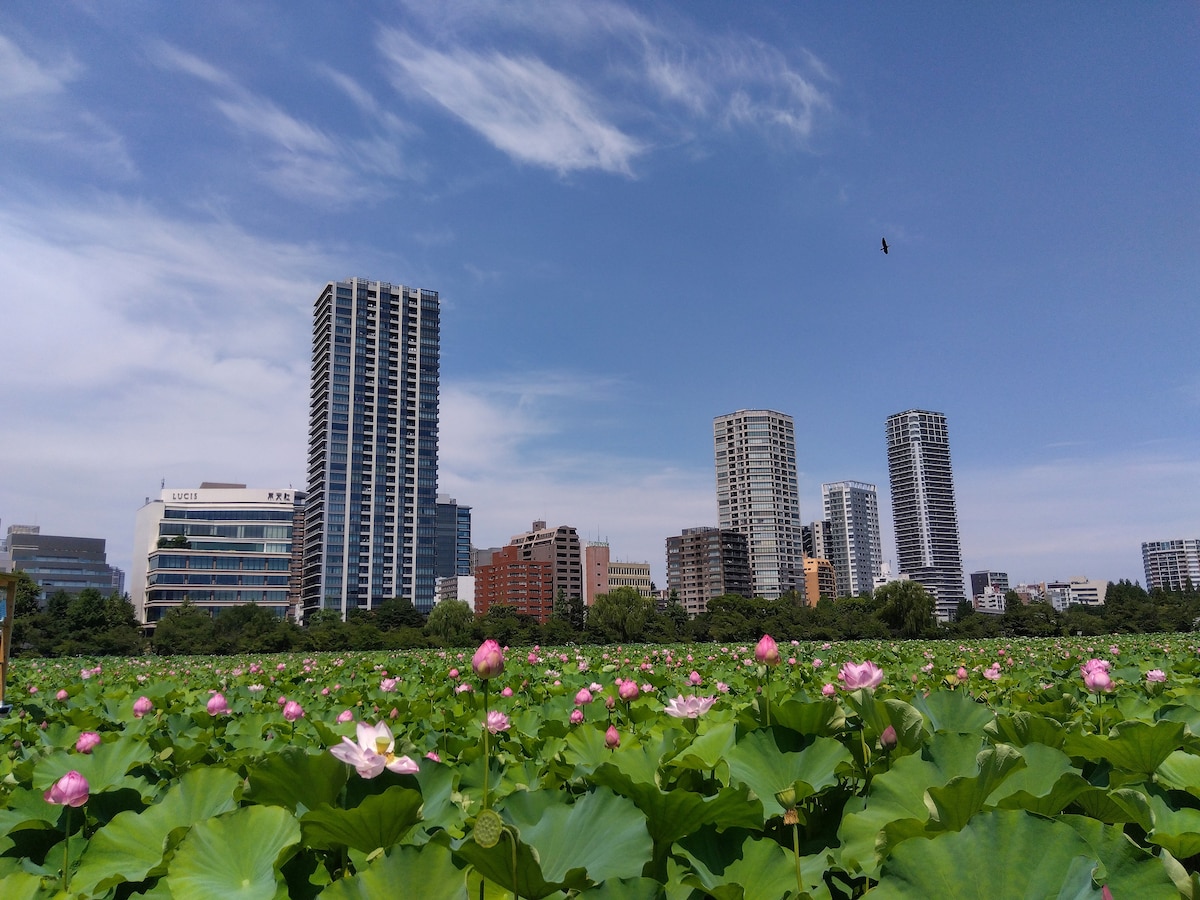 Tokyo Nezu Stained Glass Museum & Guest House (Since 2019) - Photo 52
